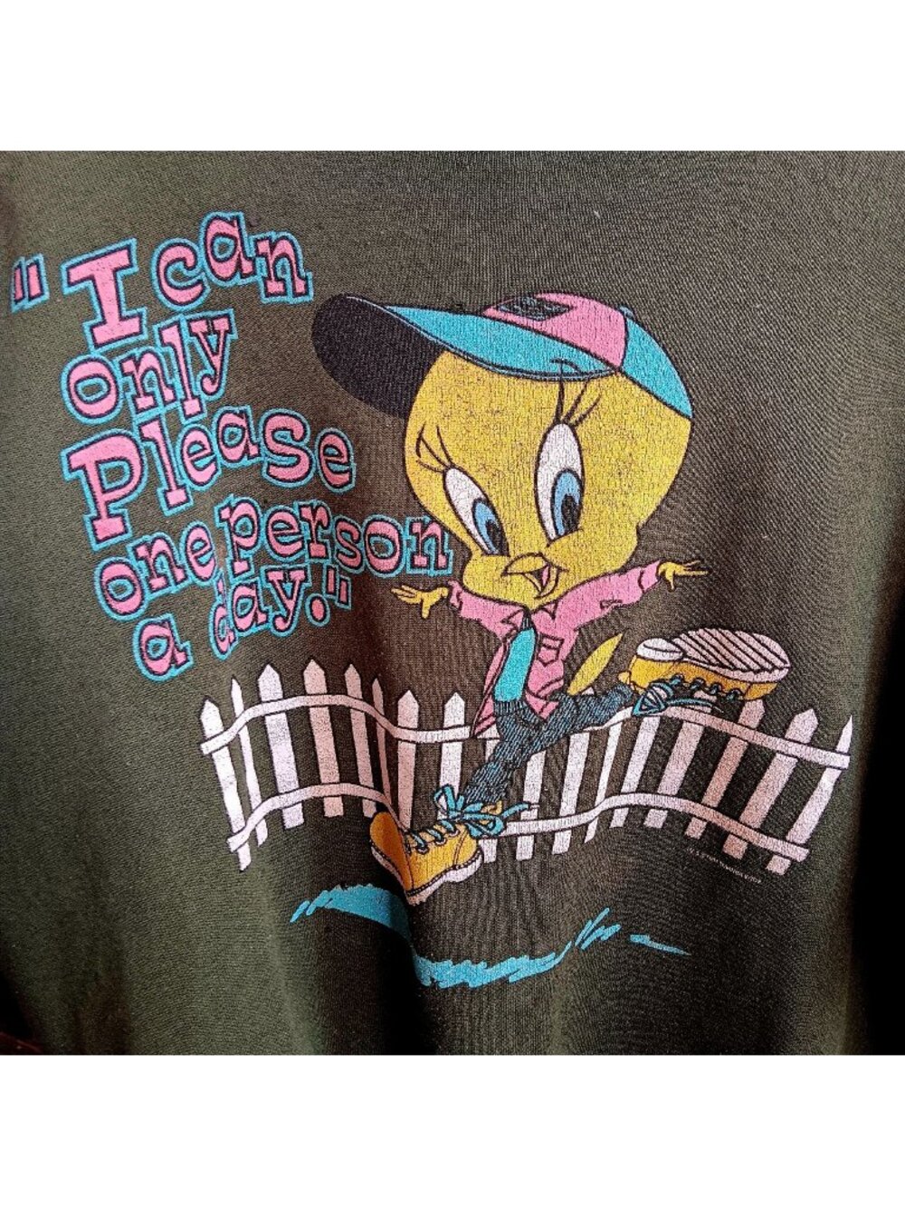 Large Vintage 1992 Tweety Sweatshirt Looney Tunes Graphic Green Unisex 90s